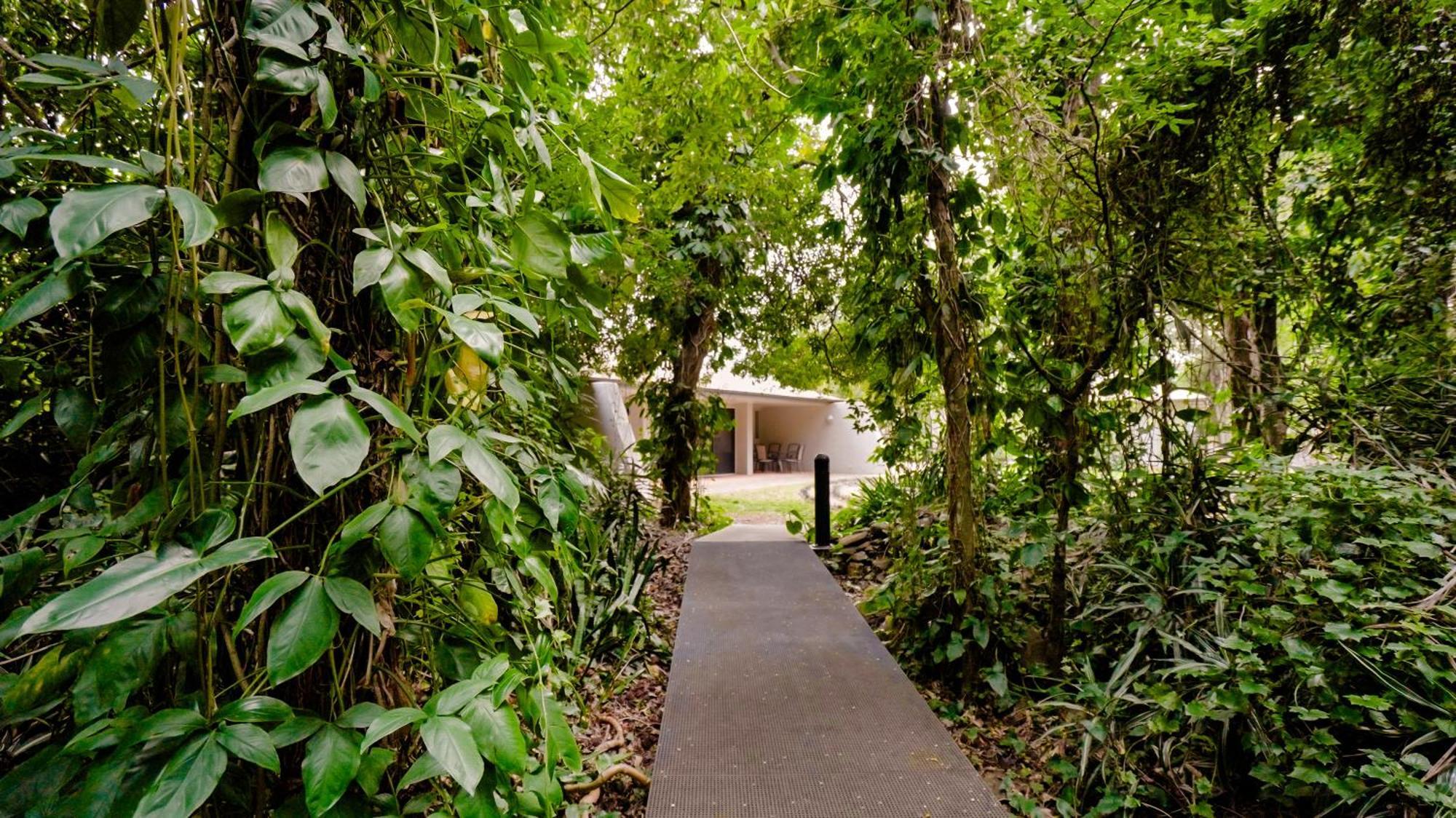 Invercauld House Goonellabah Kültér fotó